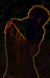 samglowedge.gif (286720 bytes)